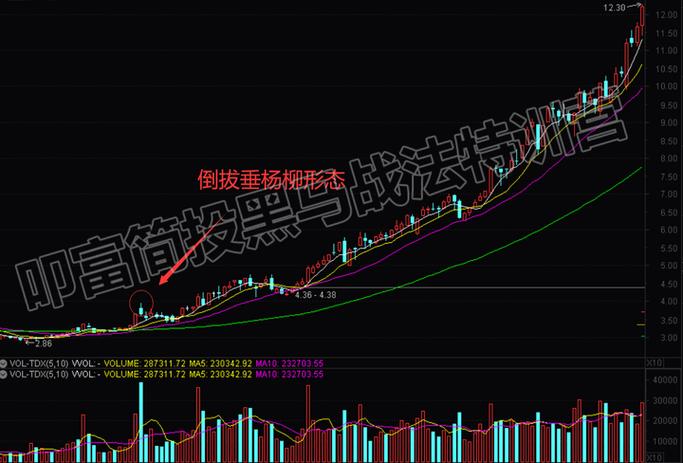 长阴倒拔杨柳形态_主力洗盘巨量阴线战法_股票k线战法电子版