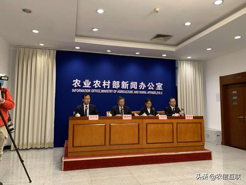 今年玉米价格走势_农业农村部玉米市场分析_中国玉米网价格行情发布