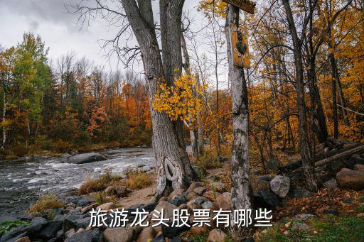旅游龙头股票有哪些