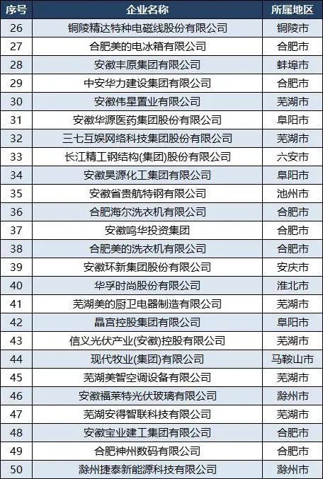 合肥有哪些股份有限公司_2024中国民营企业500强排行榜 安徽 2024安徽民营企业100强名单 皖企发展情况