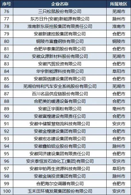 合肥有哪些股份有限公司_2024中国民营企业500强排行榜 安徽 2024安徽民营企业100强名单 皖企发展情况