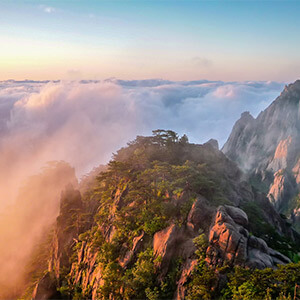 自然人独资公司转型一般有限责任公司_股权转让后变为一人有限公司_一人有限责任公司增加股东