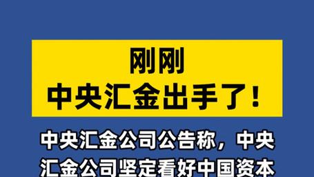 中央汇金增持A股ETF_A股市场估值历史低位_汇金公司增持的000063股票