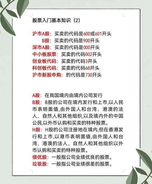 股票代码与股票关系_股票板块分类代码查看_如何识别特定股票代码含义