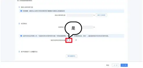 个人所得税经营所得申报表B填写_铂略财税培训 所得税纳税申报表填报_自然人电子税务局经营所得申报指南