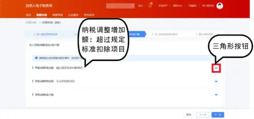 个人所得税经营所得申报表B填写_铂略财税培训 所得税纳税申报表填报_自然人电子税务局经营所得申报指南