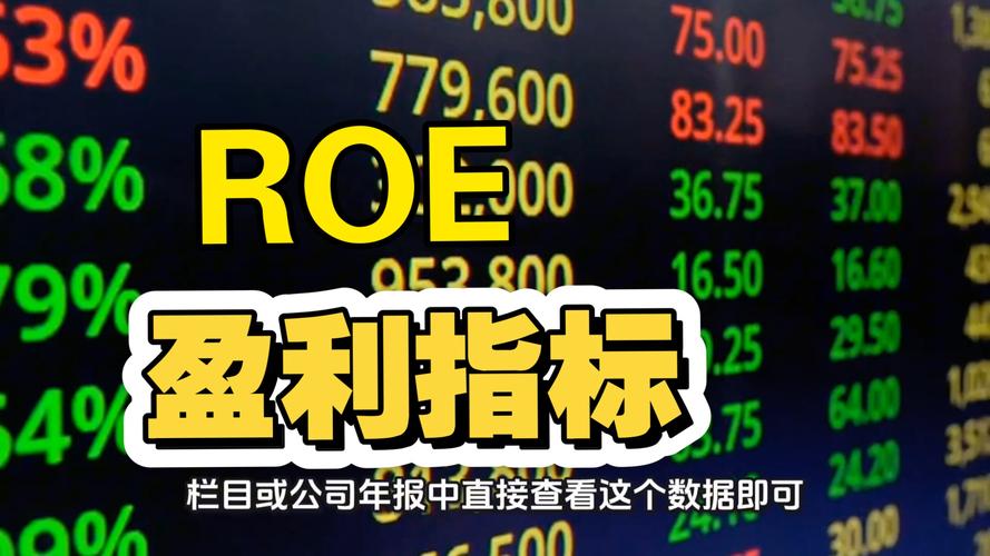 公司负债率多少是好的_投资报酬率计算公式_净资产收益率分析