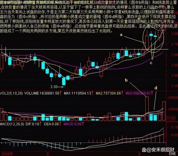 股市小白入门指南_股票投资策略有哪些_股票投资基础知识