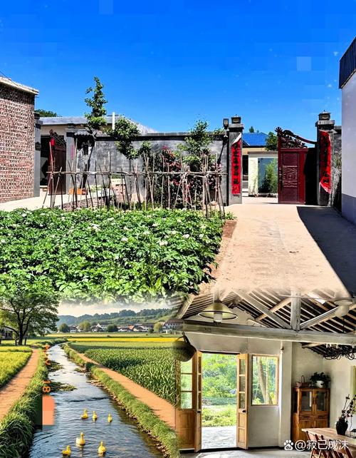 农村人居环境整治_合作社带动作用_农村厕所革命