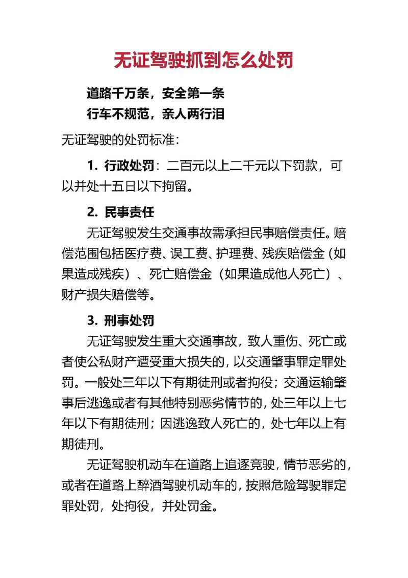 开车什么证都没带怎么处罚_无牌驾驶处罚措施_无牌驾驶法律规定