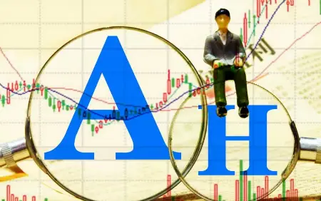 股票投资基础知识_怎么知道股票是沪深_A股B股H股N股S股区别